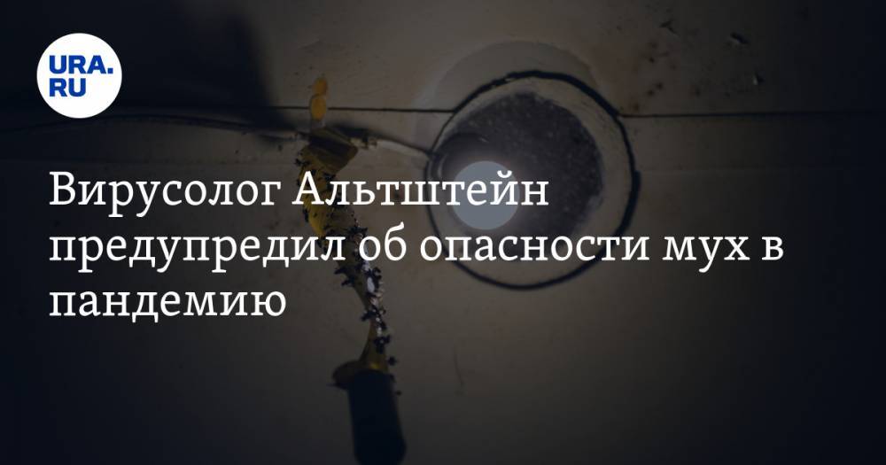 Анатолий Альтштейн - Вирусолог Альтштейн предупредил об опасности мух в пандемию - ura.news
