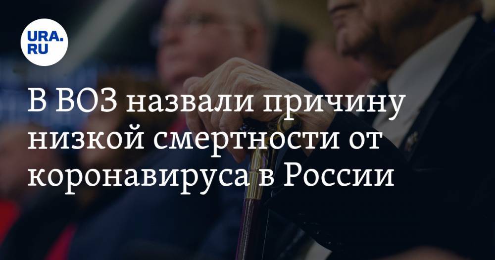 Геннадий Онищенко - Мелита Вуйнович - В ВОЗ назвали причину низкой смертности от коронавируса в России - ura.news - Россия