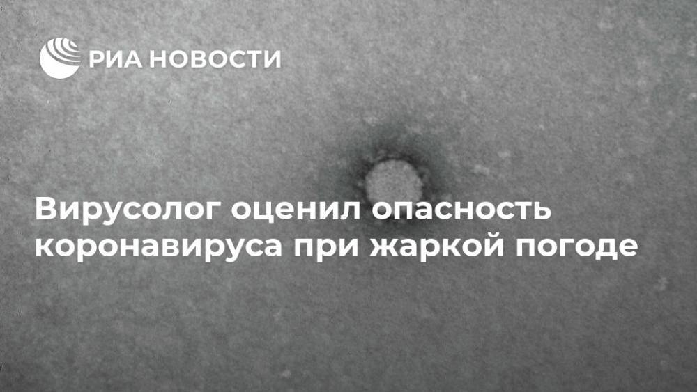 Анатолий Альтштейн - Вирусолог оценил опасность коронавируса при жаркой погоде - ria.ru - Москва - Россия