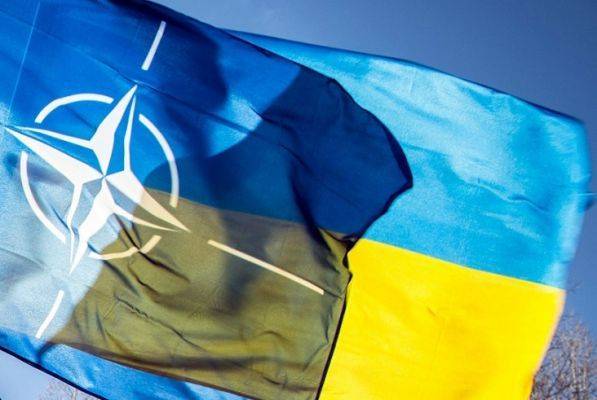 Вадим Пристайко - «Ожидаем, что нас уже скоро пригласят» — Украина просится в НАТО - eadaily.com - Украина - Киев - Брюссель