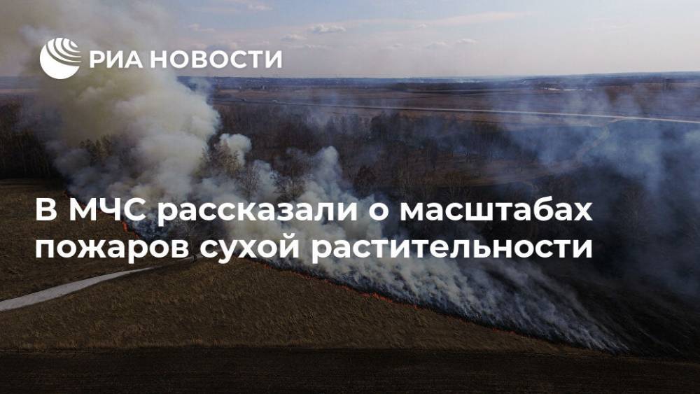 В МЧС рассказали о масштабах пожаров сухой растительности - ria.ru - Москва - Россия
