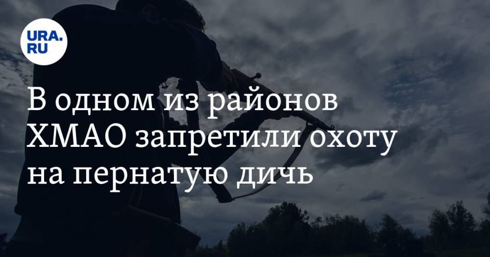 В одном из районов ХМАО запретили охоту на пернатую дичь - ura.news - Югра - район Кондинский