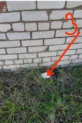 Сыктывкара показала полицейским тайники с наркотиками - bnkomi.ru - Россия - респ. Коми - Сыктывкар