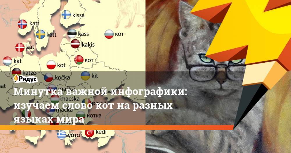 Минутка важной инфографики: изучаем слово кот наразных языках мира - ridus.ru