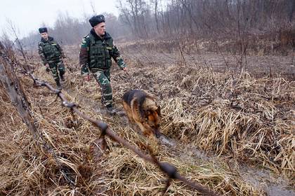 На Украине отчитались об «уничтожении двух оккупантов» в Донбассе - lenta.ru - Украина - ДНР - ЛНР - Донецкая обл.