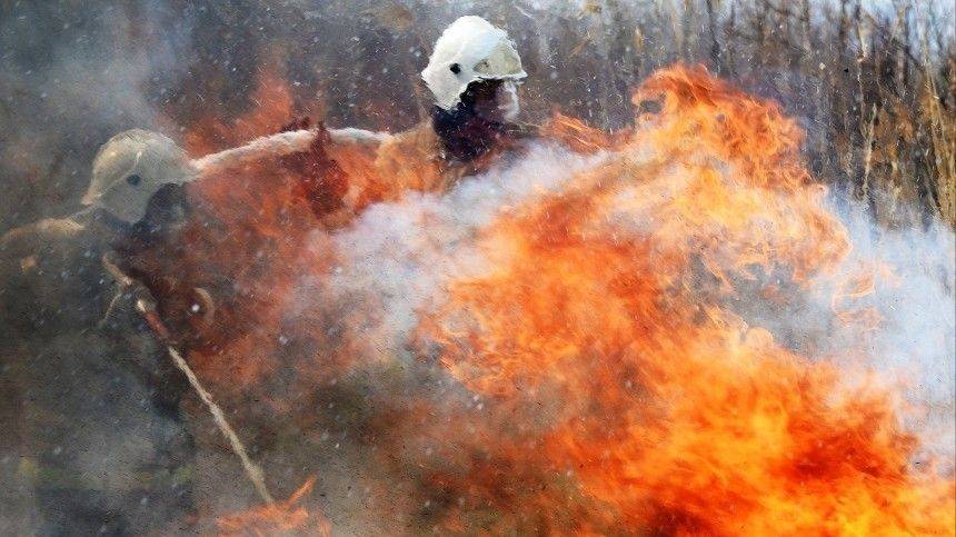 Аномальная жара и лесные пожары атаковали Сибирь и Забайкалье - 5-tv.ru - Челябинская обл. - Тюменская обл. - Свердловская обл. - Томская обл.