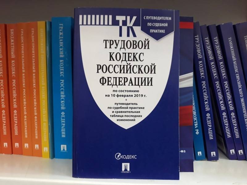 Андрей Исаев - В Трудовом кодексе пропишут гарантии при переводе на удаленную работу - sobesednik.ru - Россия