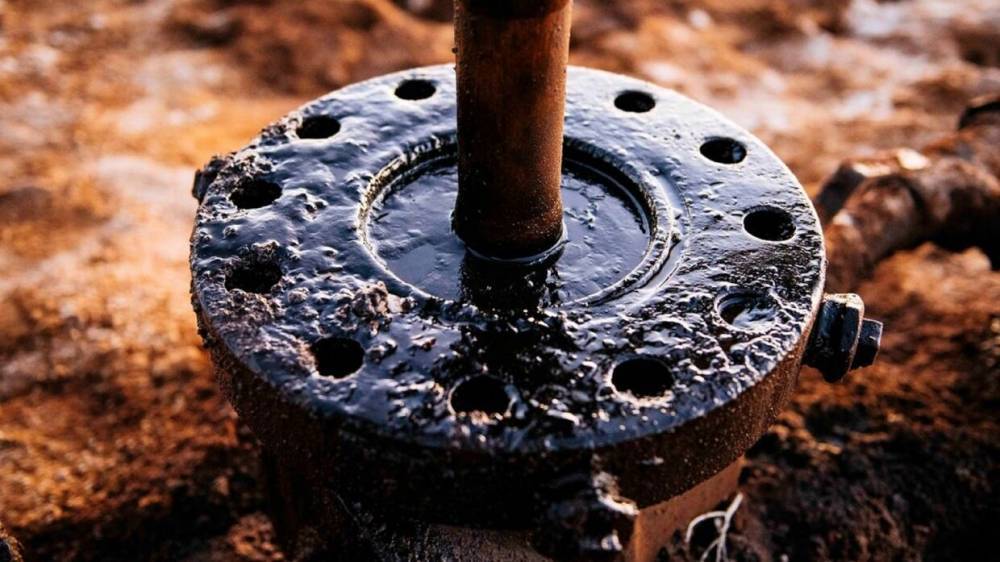 Александр Новак - Египетский миллиардер оценил последствия «нефтяного удара» по США - riafan.ru - Москва - Россия - США - Саудовская Аравия