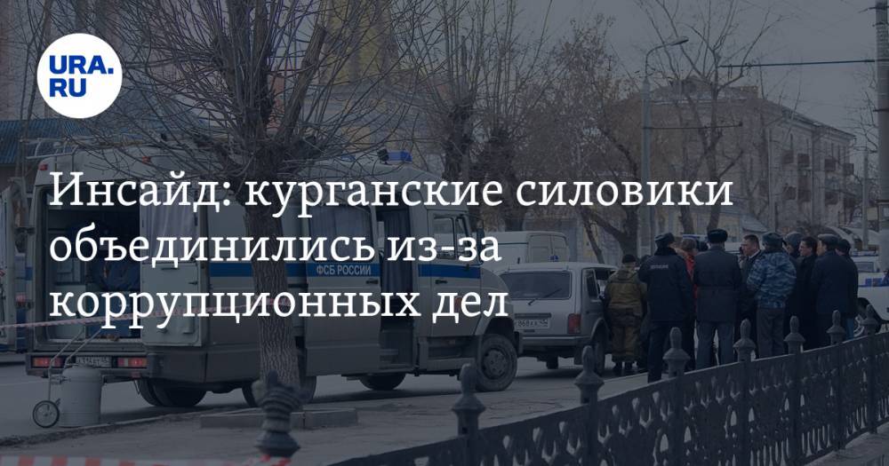 Инсайд: курганские силовики объединились из-за коррупционных дел - ura.news