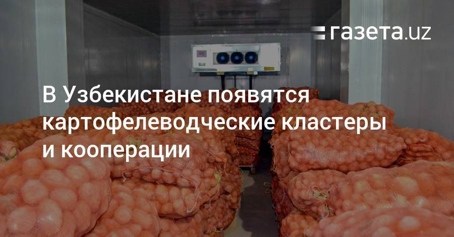 Шавкат Мирзиеев - В Узбекистане появятся картофелеводческие кластеры и кооперации - gazeta.uz - Узбекистан
