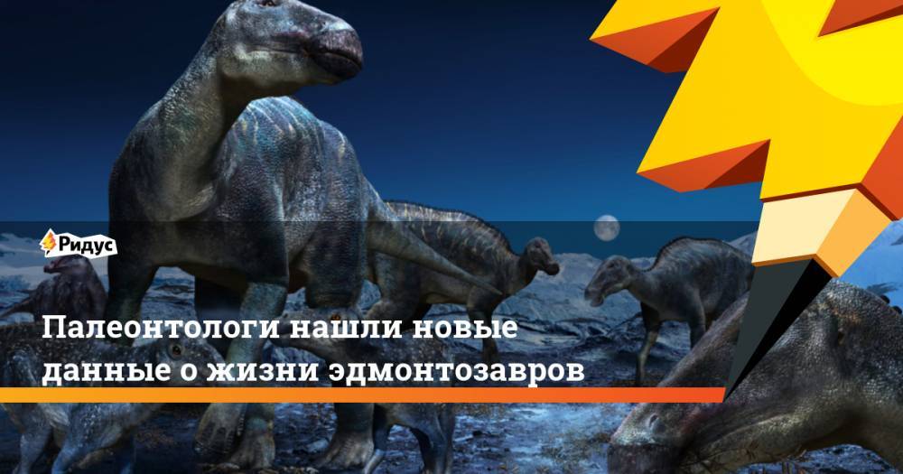 Палеонтологи нашли новые данные о жизни эдмонтозавров - ridus.ru - Япония - шт. Колорадо - шт.Аляска