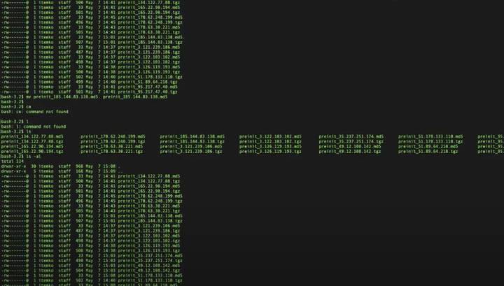Павел Дуров - Блокчейн TON запустили без участия Дурова и Telegram - vesti.ru