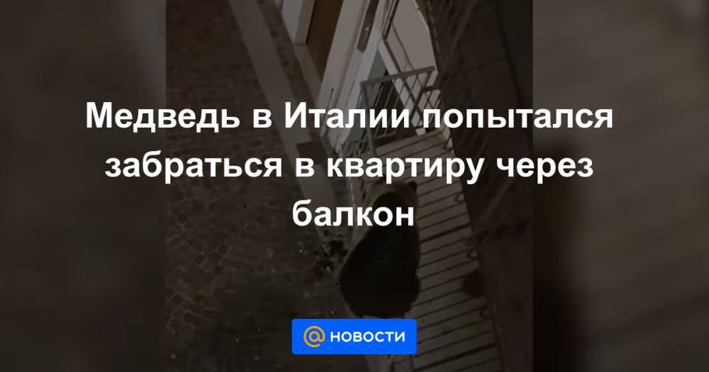 Екатерина Гура - Медведь в Италии попытался забраться в квартиру через балкон - news.mail.ru - Италия