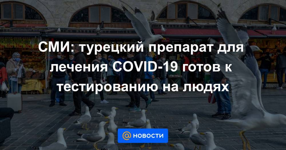 СМИ: турецкий препарат для лечения COVID-19 готов к тестированию на людях - news.mail.ru - Турция - Стамбул