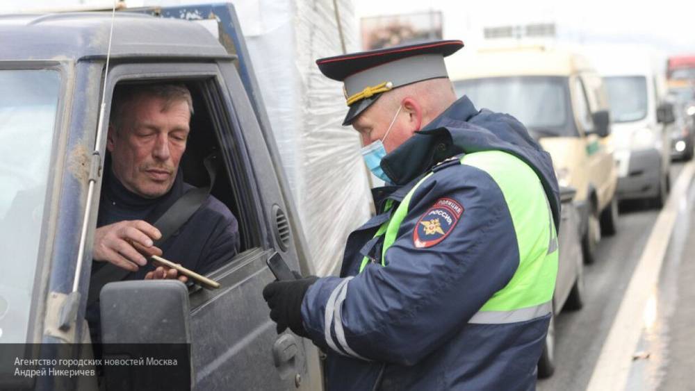 Владислава Грин - Более 1300 автомобилей не впустили в Нижегородскую область - nation-news.ru - Нижегородская обл.