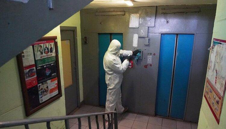 Джордж Мейсон - Анча Баранова - Биолог назвала места опасных скоплений коронавируса в городе - newtvnews.ru - США