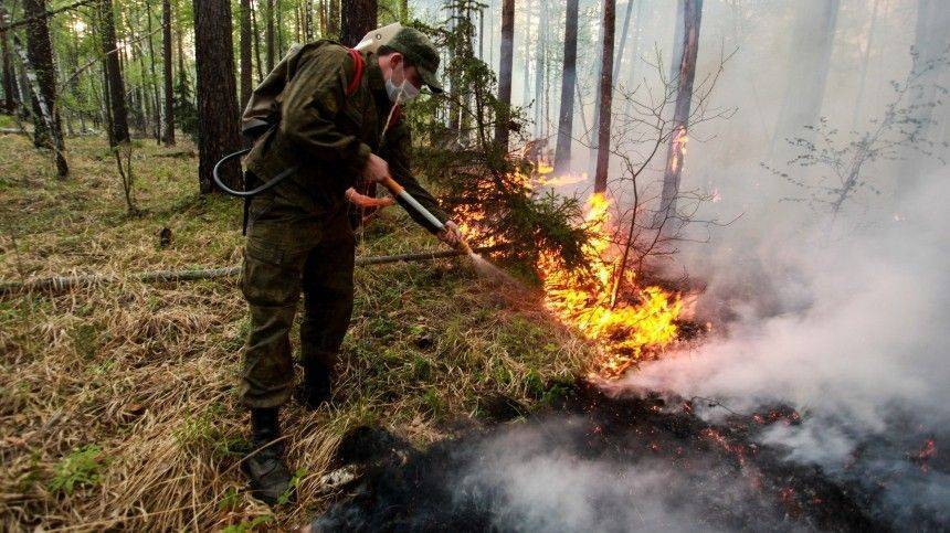 Паводки и лесные пожары стали причиной объявления повышенного уровня опасности в российских регионах - 5-tv.ru - Россия - респ. Дагестан - респ. Саха - Вологодская обл.