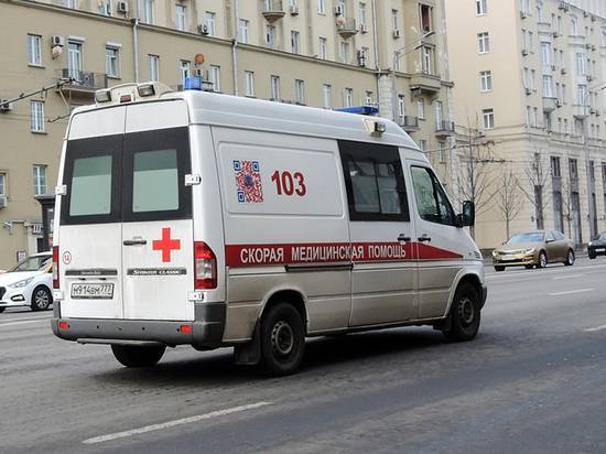 Наталья Мущинкина - Гендиректор строительной компании совершил самоубийство из-за банкротства - newtvnews.ru - Москва - Россия