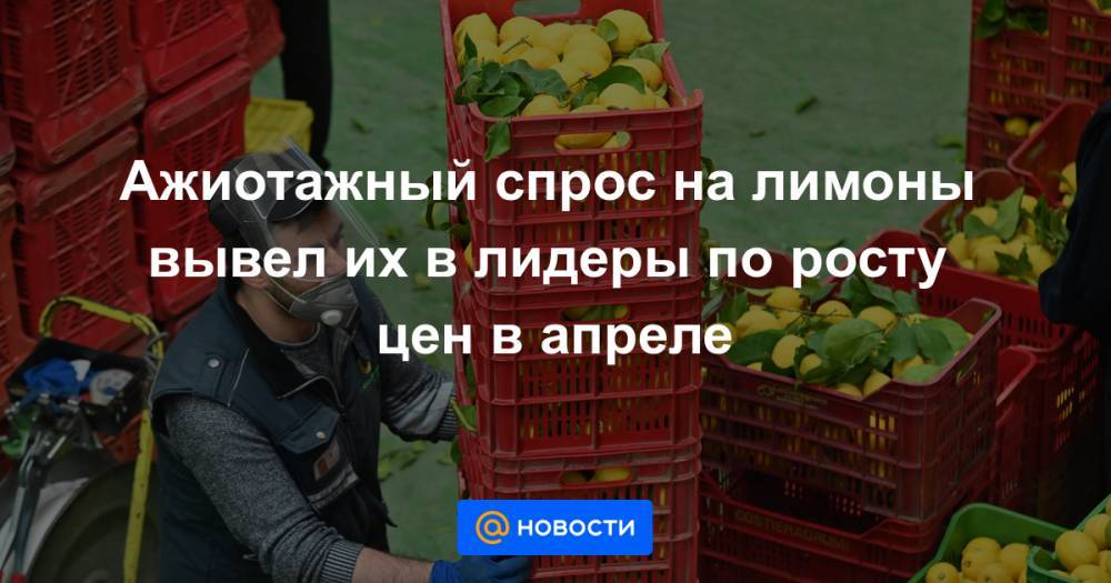 Ажиотажный спрос на лимоны вывел их в лидеры по росту цен в апреле - news.mail.ru - Россия - респ. Алания