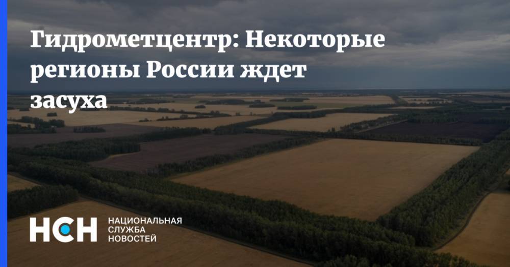 Роман Вильфанд - Гидрометцентр: Некоторые регионы России ждет засуха - nsn.fm - Россия - Крым - Краснодарский край - Московская обл. - Белгородская обл. - Астраханская обл. - Калужская обл. - Курская обл. - Липецкая обл.