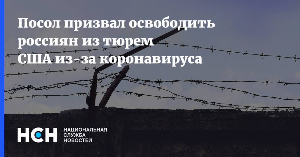 Анатолий Антонов - Посол призвал освободить россиян из тюрем США из-за коронавируса - nsn.fm - Россия - США