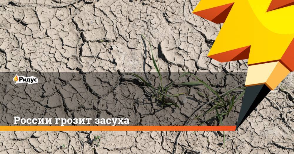 Роман Вильфанд - России грозит засуха - ridus.ru - Россия - Орловская обл. - Смоленская обл. - Белгородская обл. - Калужская обл. - Курская обл. - округ Южный - Липецкая обл. - Брянская обл.