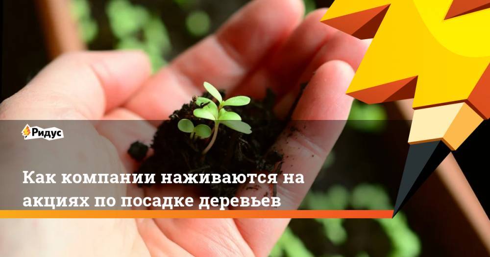 Как компании наживаются на акциях по посадке деревьев - ridus.ru