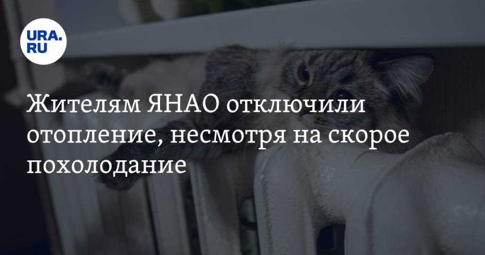 Алексей Романов - Жителям ЯНАО отключили отопление, несмотря на скорое похолодание - ura.news - Ноябрьск - окр. Янао