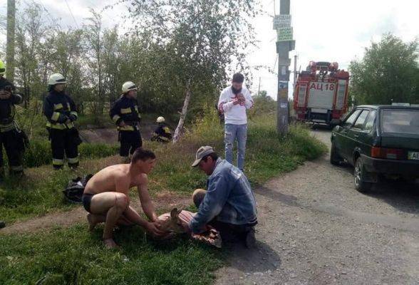 Под Днепропетровском люди спасли олененка, упавшего в оросительный канал - eadaily.com - Днепропетровск - Гсчс