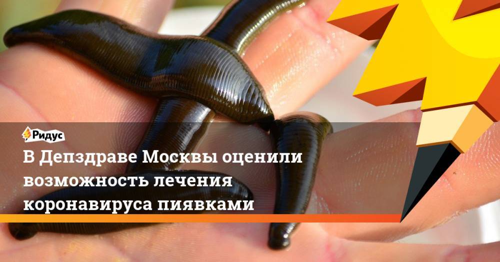Елена Шувалова - В Депздраве Москвы оценили возможность лечения коронавируса пиявками - ridus.ru - Москва - Россия