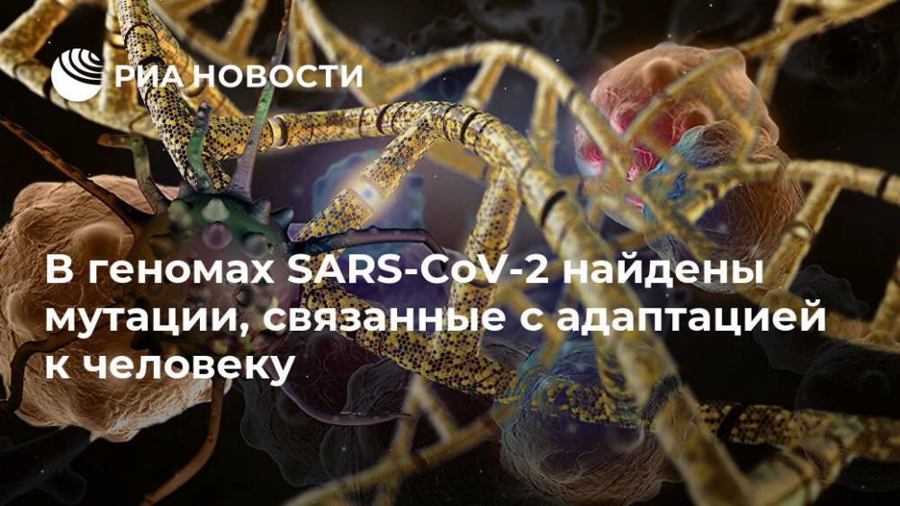 В геномах SARS-CoV-2 найдены мутации, связанные с адаптацией к человеку - ria.ru - Москва - Лондон - Великобритания