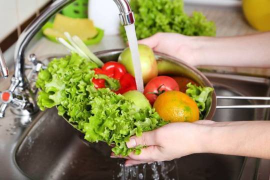 Татьяна Романенко - Российский врач назвал дезинфекцию продуктов бесполезной - versia.ru - Россия