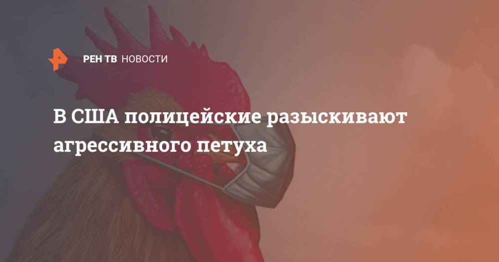 В США полицейские разыскивают агрессивного петуха - ren.tv - США - штат Луизиана