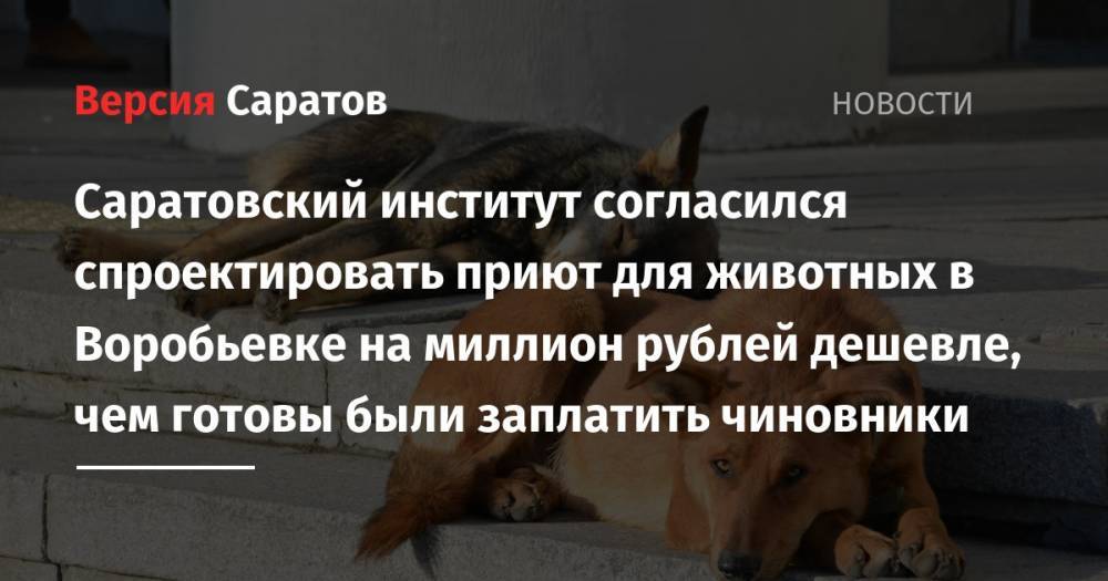 Саратовский институт согласился спроектировать приют для животных в Воробьевке на миллион рублей дешевле, чем готовы были заплатить чиновники - nversia.ru - Саратов