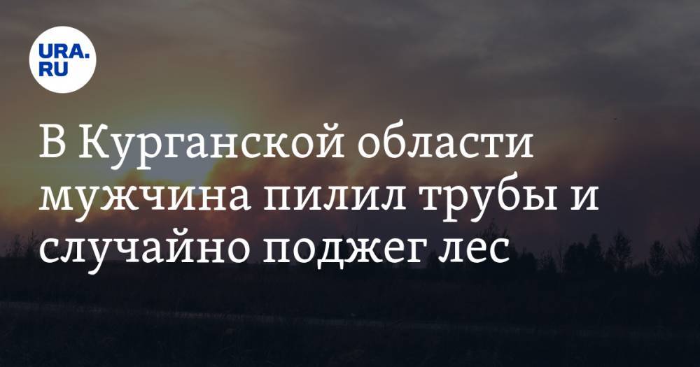 В Курганской области мужчина пилил трубы и случайно поджег лес - ura.news - Россия - Курганская обл.