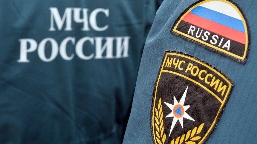 Здание фермы обрушилось под Челябинском. Под завалами порядка 30 голов скота - 5-tv.ru - Россия - Санкт-Петербург - Челябинская обл. - Челябинск - район Агаповский
