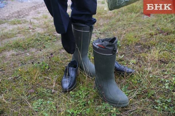Виктор Бобыря Как - В Коми клещи покусали 55 человек - bnkomi.ru - респ. Коми