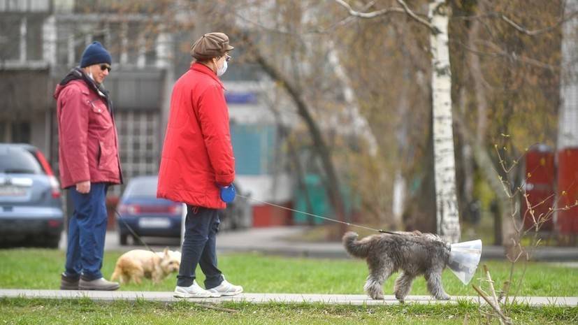 Андрей Воробьев - В Подмосковье отсрочили наказание за отсутствие масок - russian.rt.com - Россия - Московская обл.