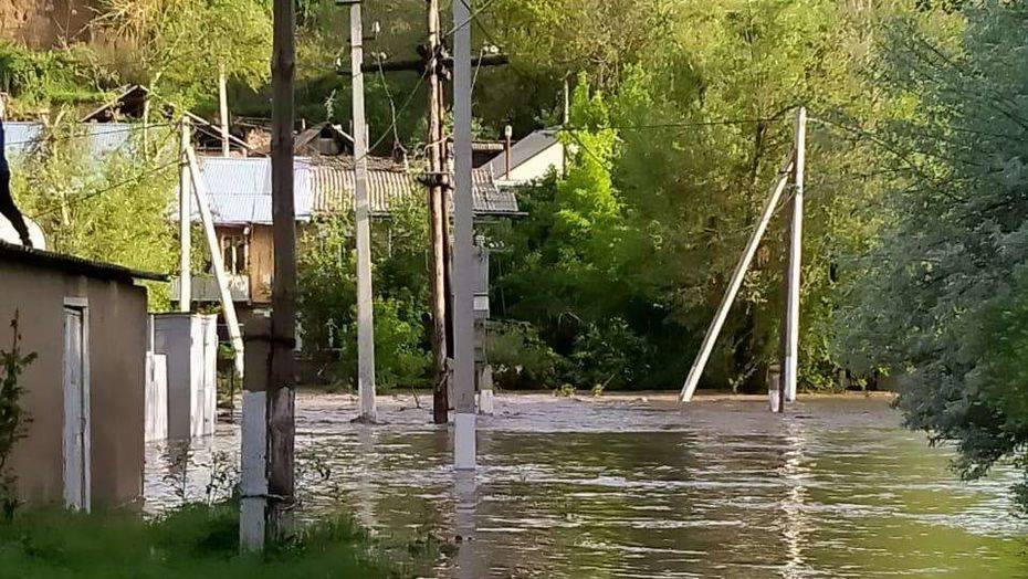 Предварительный ущерб сельхозпроизводителей в Туркестанской области оценили в 4 млрд тенге - informburo.kz - Казахстан - Туркестан