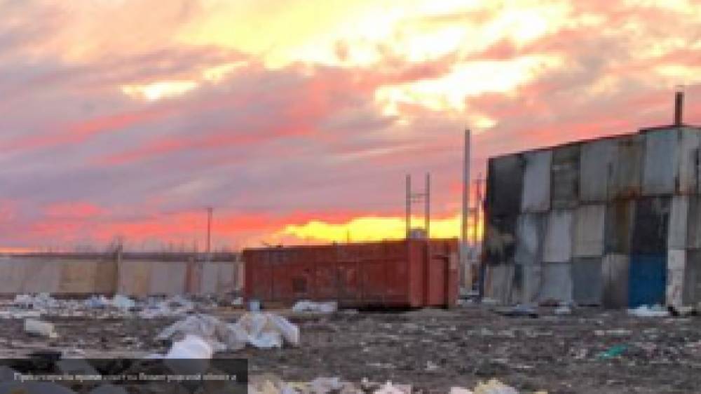 Мария Базарева - Взрыв на свалке стал причиной госпитализации подростка в Новгородской области - nation-news.ru - Россия - Новгородская обл.