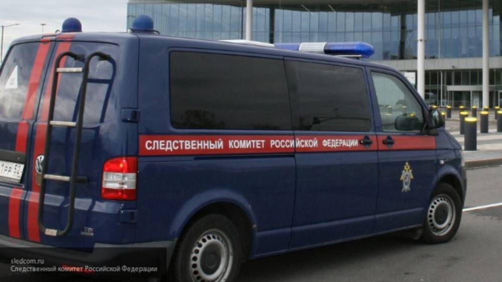 Взрыв на стихийной свалке в Новгородской области привел к травмированию ребенка - inforeactor.ru - Новгородская обл. - Холм