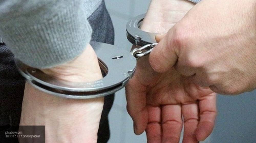 Константин Салаев - Полиция задержала москвича по подозрению в убийстве бабушки - nation-news.ru - Москва - Россия