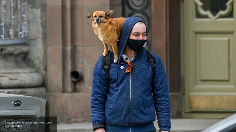 Московская полиция разъяснила, можно ли пребывать на самоизоляции не по месту прописки - politros.com - Москва - Россия