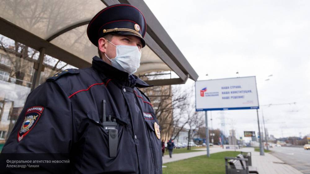 Полиция Петербурга не нашла нарушителей самоизоляции в парке "Екатерингоф" - politexpert.net - Санкт-Петербург - район Северной