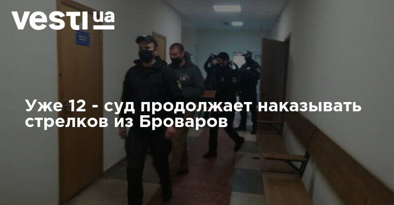 Уже 12 - суд продолжает наказывать стрелков из Броваров - vesti.ua - Украина - Киев - Киевская обл.