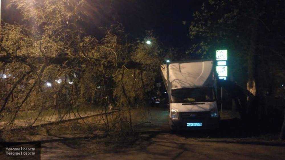 Михаил Леус - Олег Никитин - Около девяти автомобилей пострадали из-за повалившего деревья сильного ветра в Москве - nation-news.ru - Москва - Россия