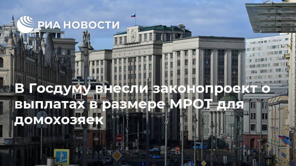 Владимир Жириновский - Ярослав Нилов - В Госдуму внесли законопроект о выплатах в размере МРОТ для домохозяек - ria.ru - Москва - Россия