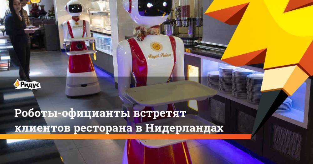 Роботы-официанты встретят клиентов ресторана в Нидерландах - ridus.ru - Китай - Голландия