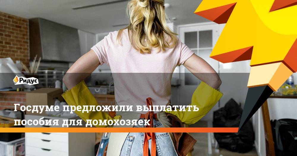 Владимир Жириновский - Сергей Леонов - Госдуме предложили выплатить пособия для домохозяек - ridus.ru - Россия