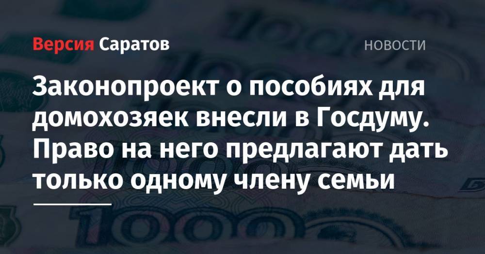 Владимир Жириновский - Ярослав Нилов - Законопроект о пособиях для домохозяек внесли в Госдуму. Право на него предлагают дать только одному члену семьи - nversia.ru - Россия